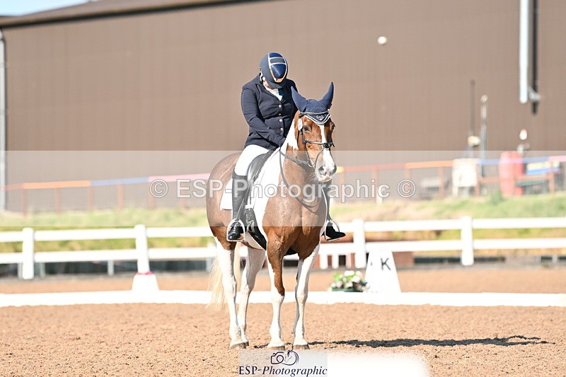 240816A-165202-06295 - 307-Rachel.Cook-Tiger.lily.vi