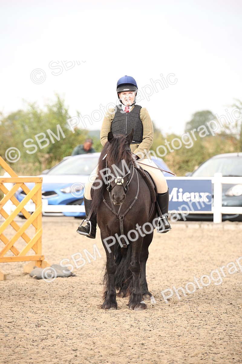 SBM_16232 - Class 409a - Working Veteran 80cm (15-19)