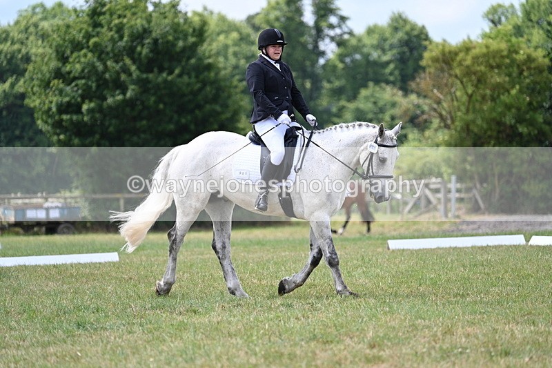 WJ7_4923 - Time 11:22 to 11:51