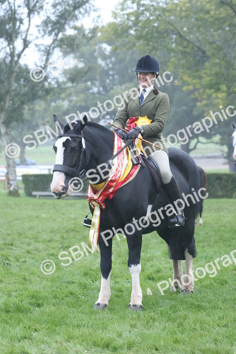 SBM_73257 - Super Supreme Championship(Sun)