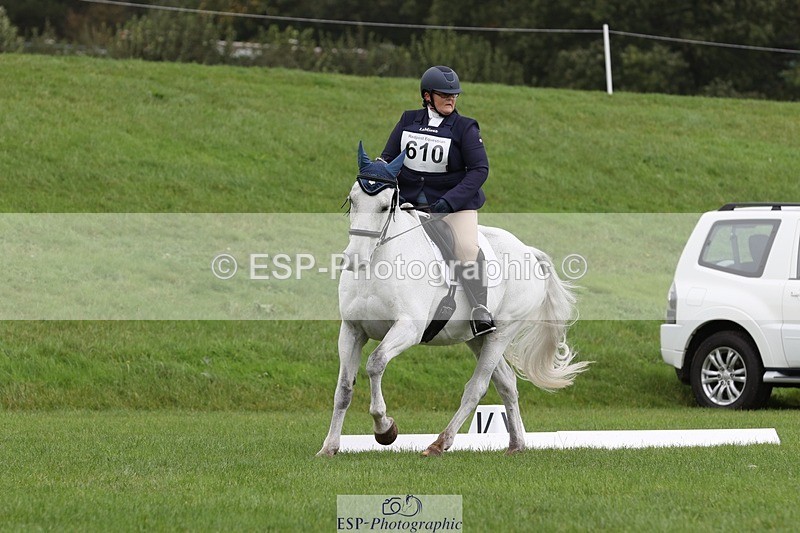 231019-111647-02613 - 610-WESTEND.STEVIE-Marie.Spillane-DR