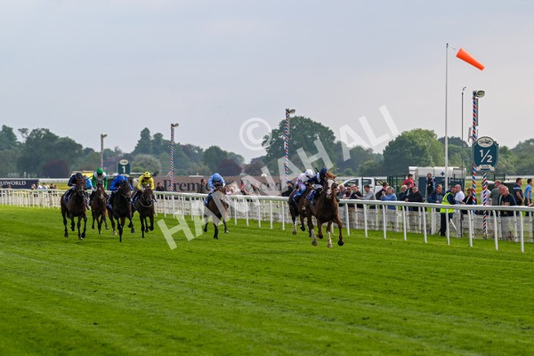 160524-Race 4-Economics-5925 - Race 4 3.45pm Al Basti Equiworld Dubai Dante Stakes