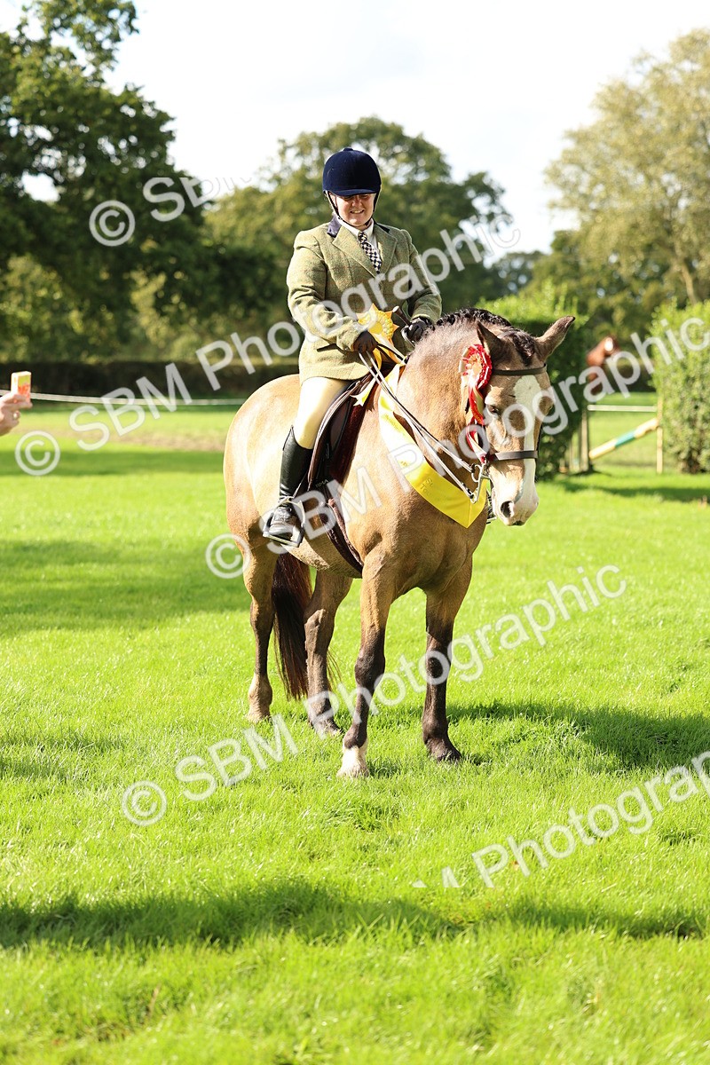 SBM_46424 - Working Hunter Pony Supreme Championship