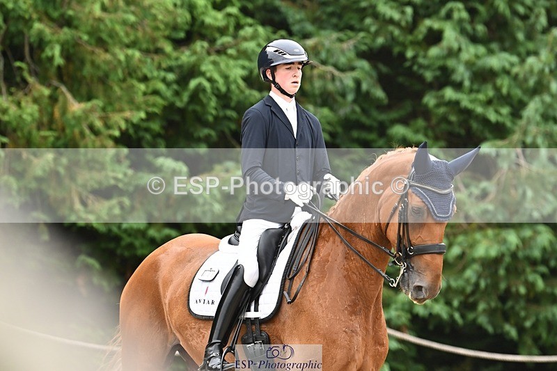 240811-113351-05203 - 208-Tom.Carter-Rubin.Regal