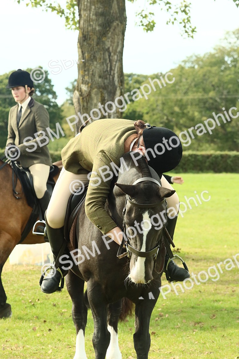 SBM_69380 - S58 - Mini Show Cob Ridden