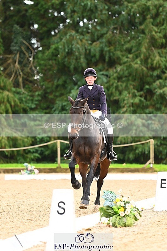 231020-155334-11983 - 217-CEFNPANT.IOLO-Katie.Thomas-DR