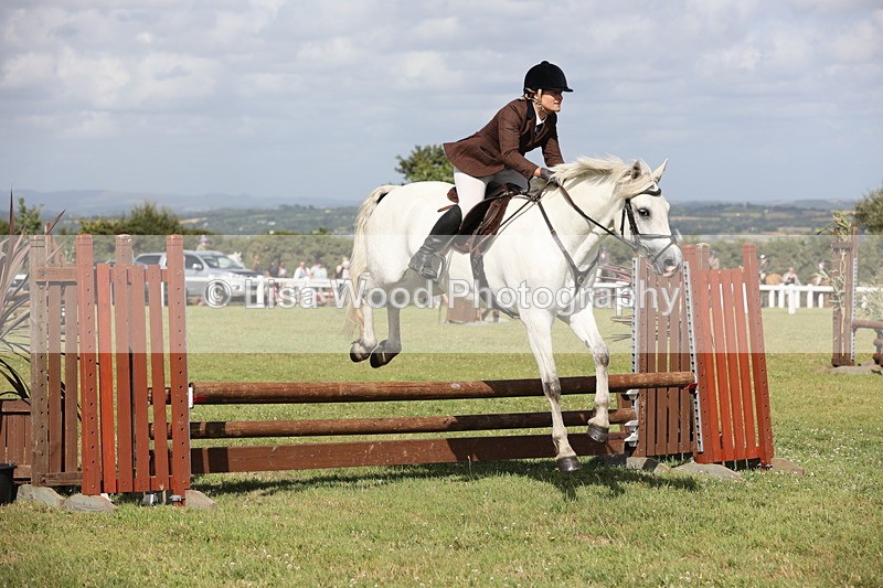 JPP_2564 - Class 20: Working Hunter 70cm