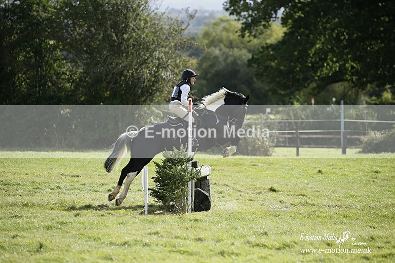  WWHT 031021 2153 - Novice Pairs (0.80m)  03/10/21