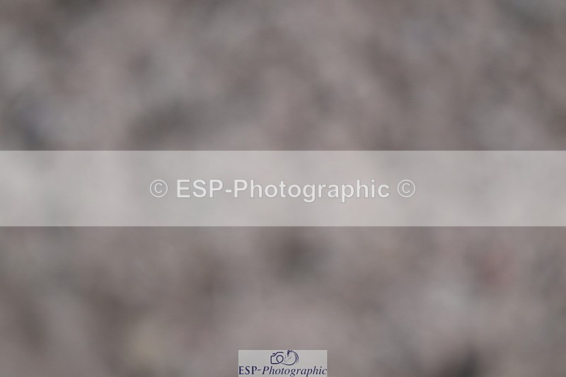 240706A-103308-00839 - Cls 2B Snr Prelim 13