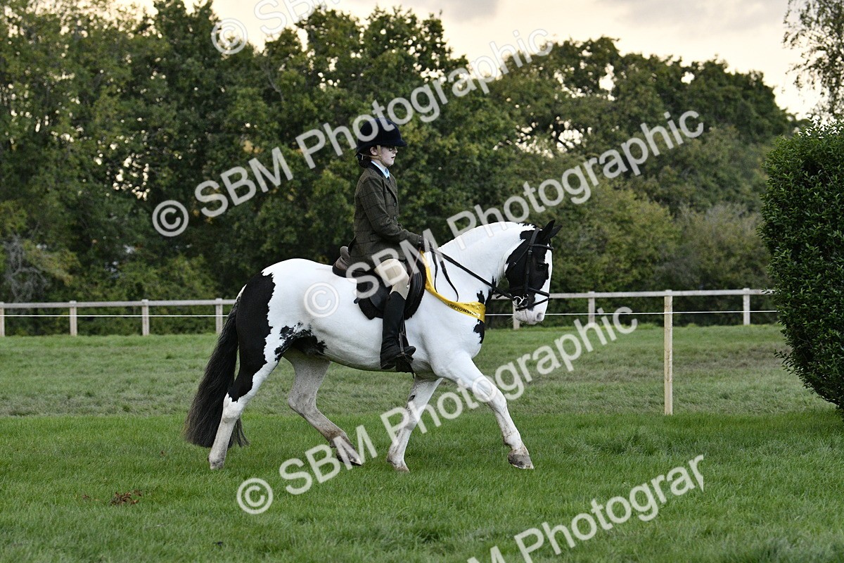 SBM_53296 - S14 - Riding Club Horse