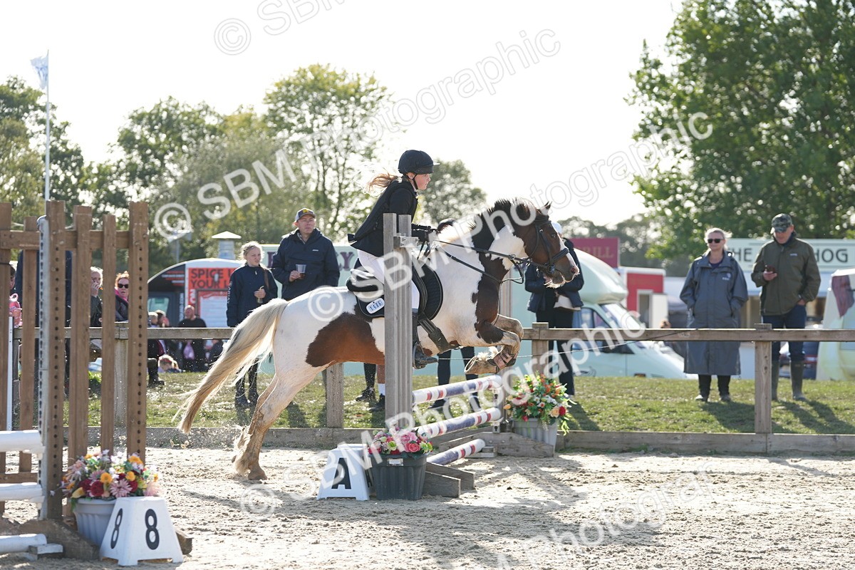 SBM_51018 - J8 - Junior Pony 65cm Championship