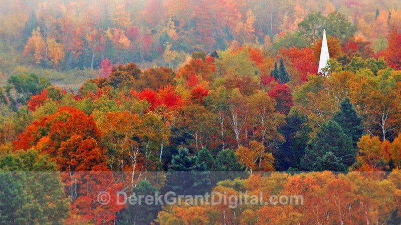 Steeple in the Mist - Autumn Foliage