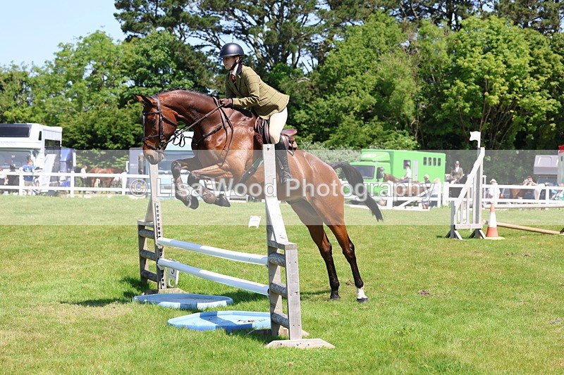 3E7A7086 - Class 30: Novice Working Hunter