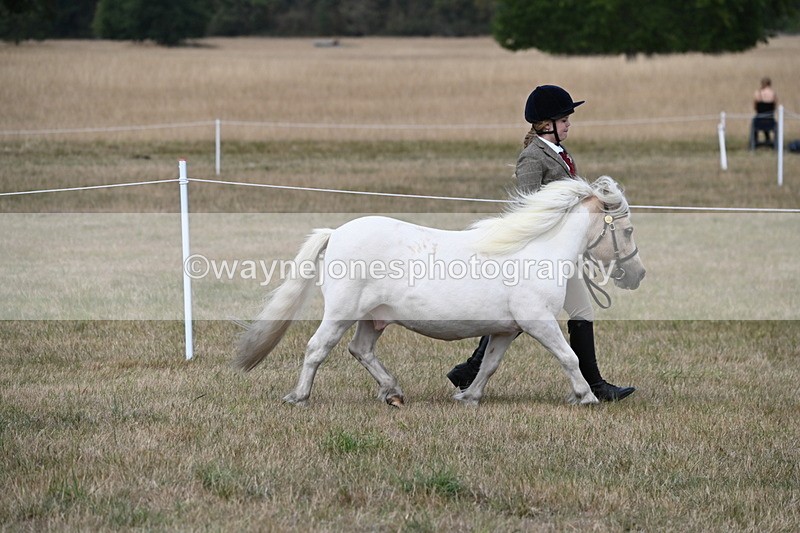 WJ6_6383 - Class 19 In-hand Veterans (Uploaded correct folder)