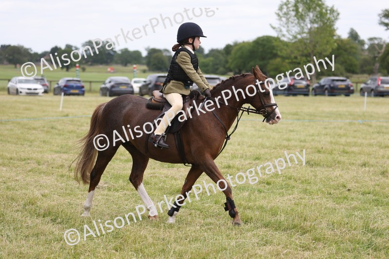 20260614-3021 - Class 22 - Open Working Hunter