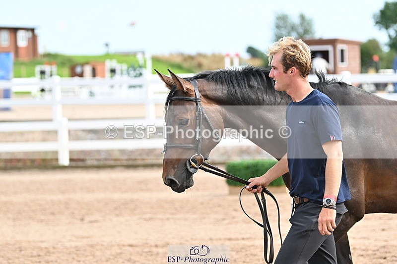 240717A-164532-03525 - Trot Up 4pm to 5pm