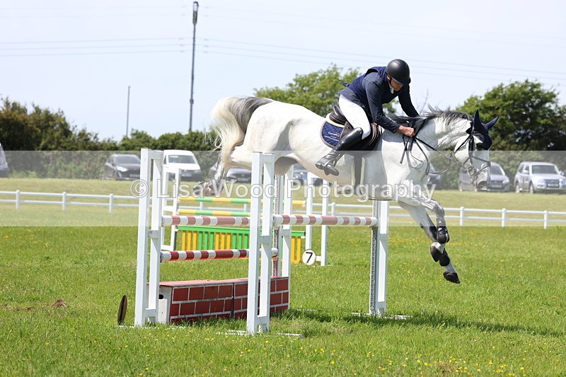 3E7A1279 - Class 12: Senior Foxhunter/1.20 open