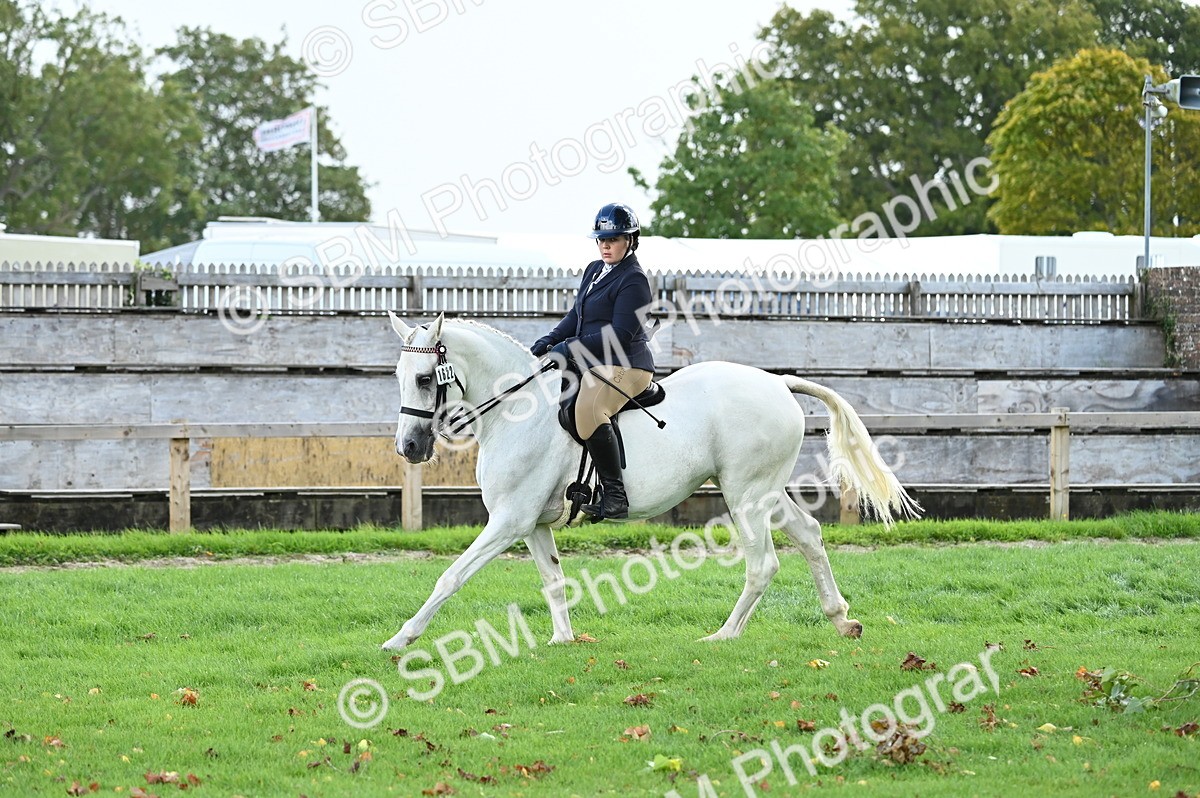 SBM_01689 - S2 - TSR Ridden Horse Showing