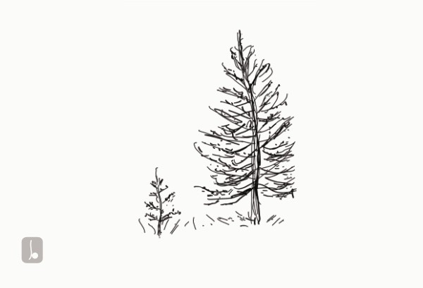 Kirsty Jones - Artists