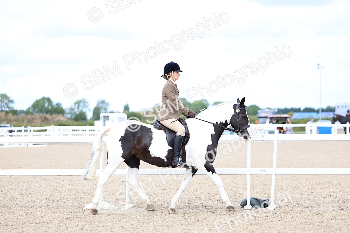 SBM_15773 - Class 314 - Family Horse - Pony
