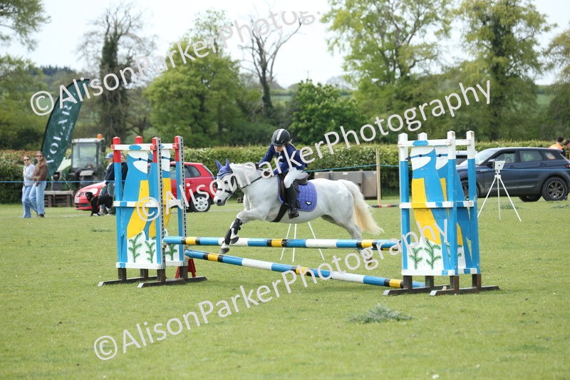 20260426-2108 - Class 15 - Absolute Novice 70cm