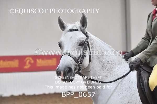 BPP_0657 - RING 2