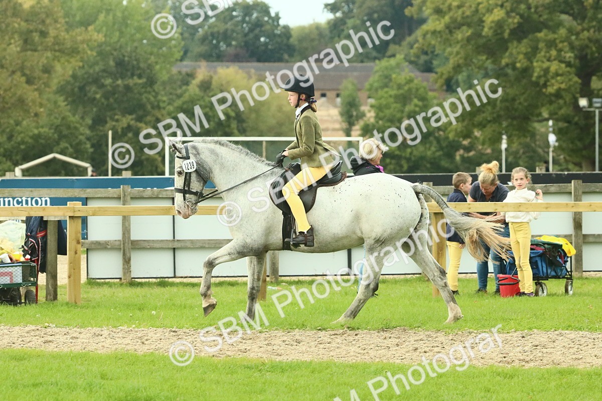 SBM_74052 - S 61 - Show Pony & Show Hunter Pony Ridden