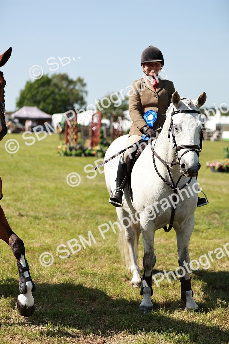 SBM_18465 - Class 112-113 - BSPS LIHS Working Sports Pony