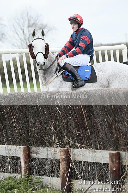 PtP 230319 63 - VWH Hunt Siddington Point-to-Point Racing 23/03/19