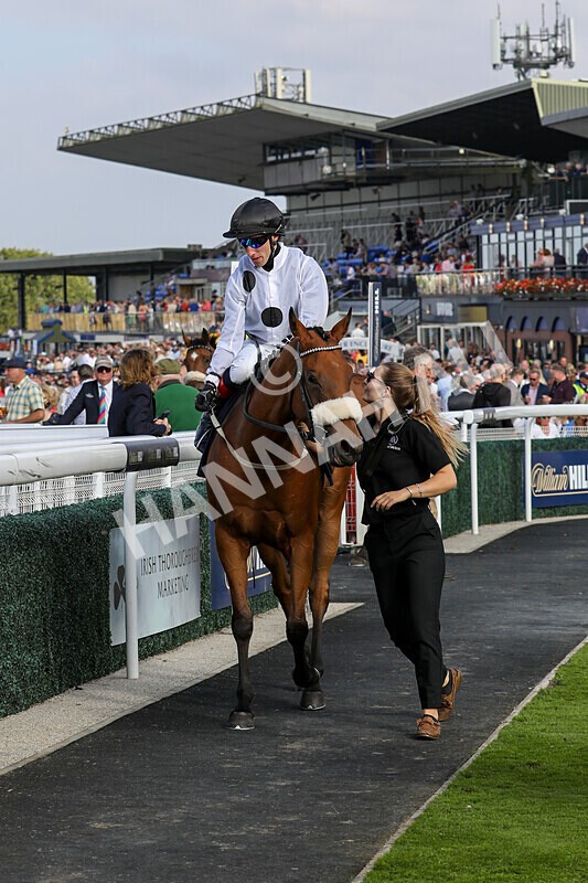 310824-Race 7-Zapphire-2166 - Race 7