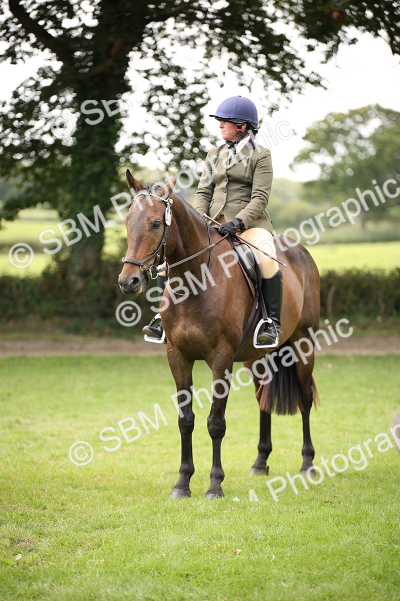 SBM_65952 - S64 - Riding Horse & Hack & Thoroughbred Ridden