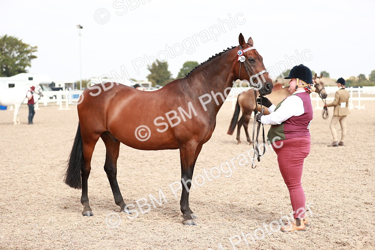SBM_13233 - Class 208 IH Veteran Horse