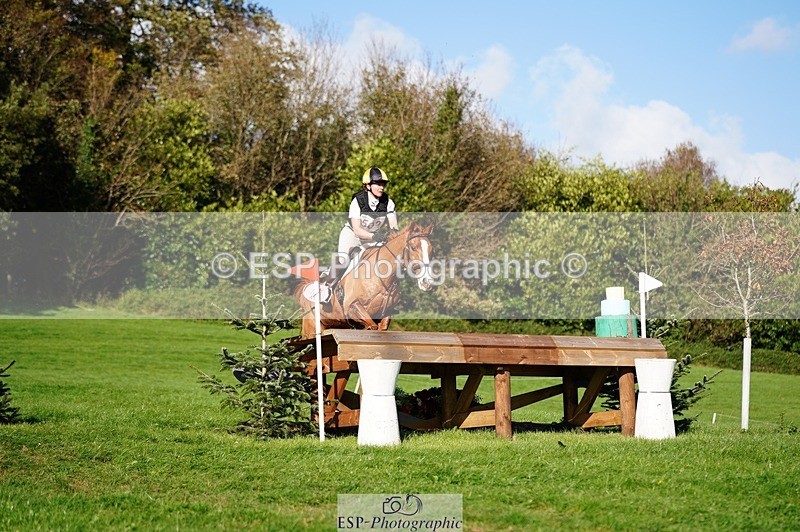 241026-141024-13936 - 502-Alison.Stewart-RICO.III