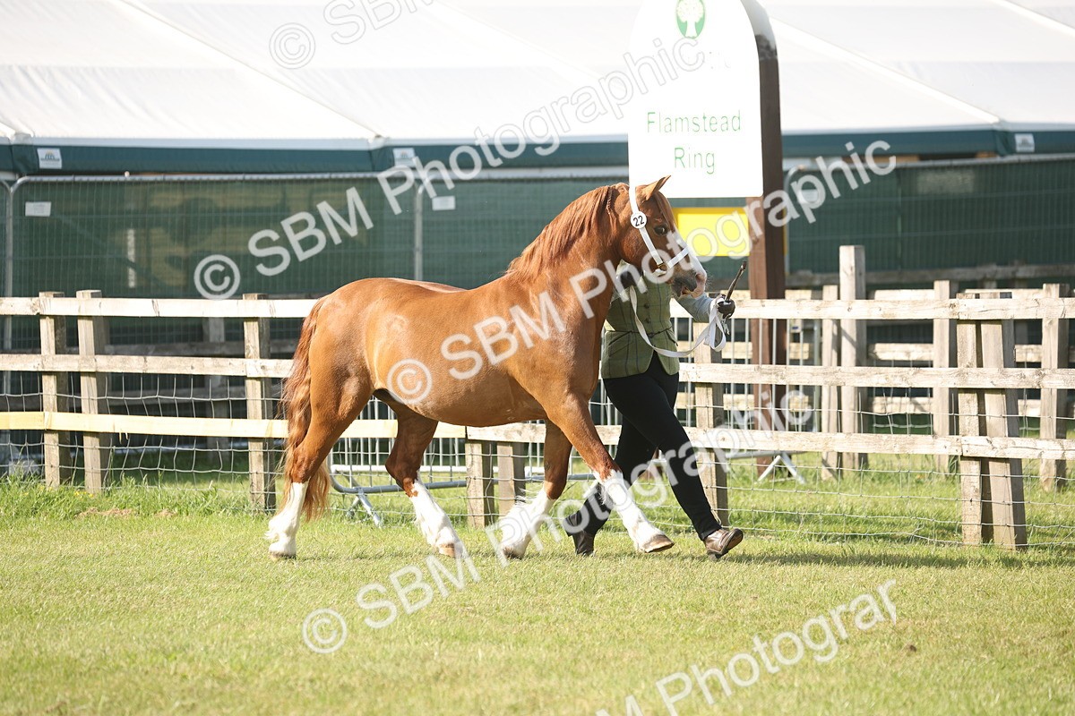 SBM_10439 - Class 33-38 - SSADL RIHS Qualifiers