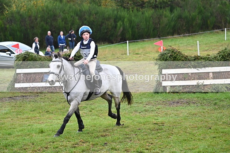 WJ6_2304 - 80cm Cam 1 Time 10:47 to 11:22