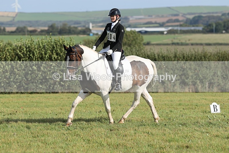 JPP_8116 - Class 2A: Trekenning Open: Dressage