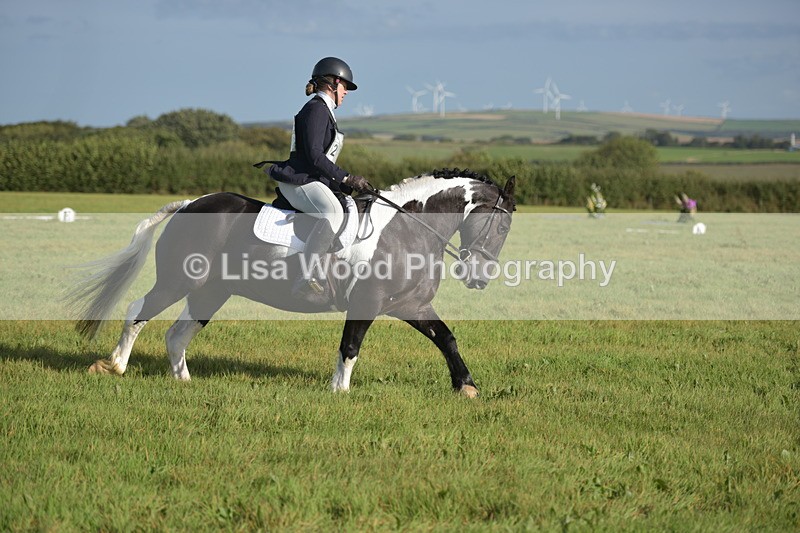 RAY_7330 - Class 2B: Trekenning Open: Dressage