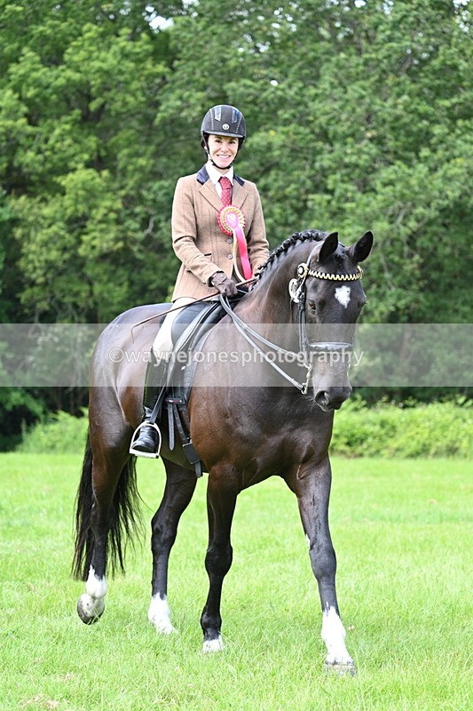 WJ7_1626 - Class 11 Condition & Turnout