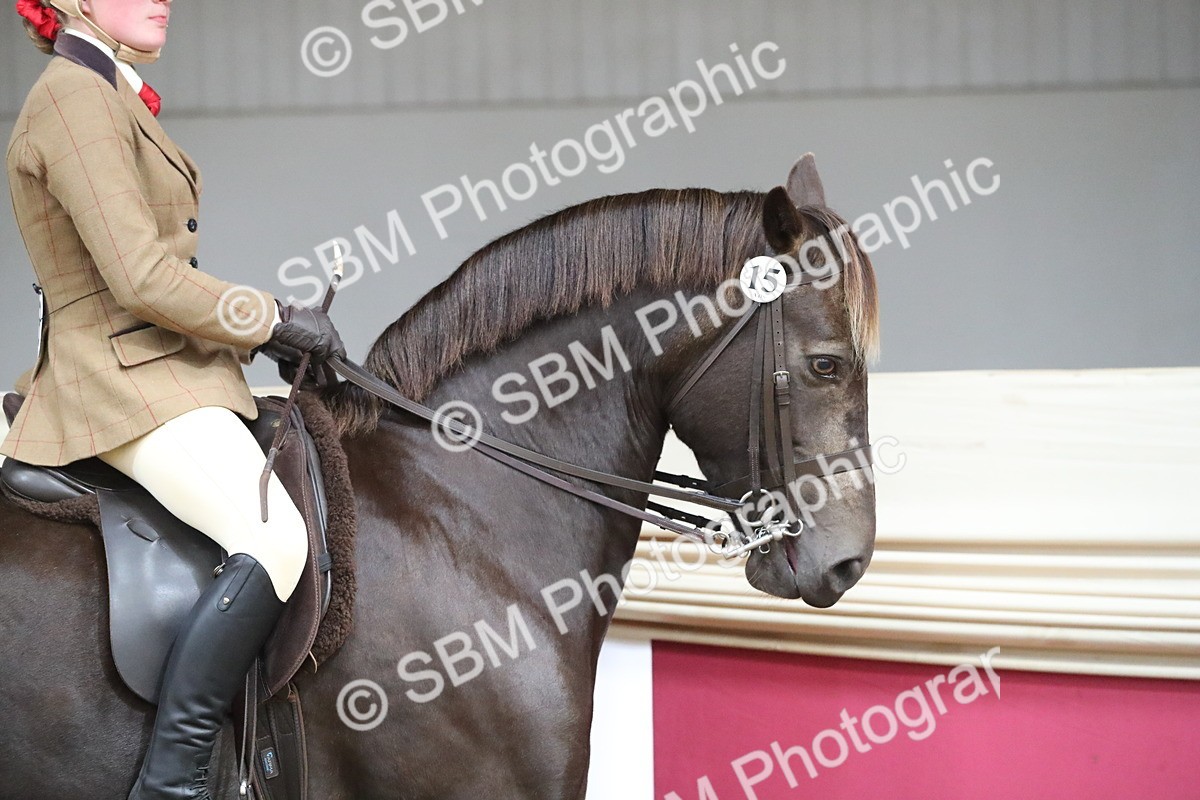 SBM_16258 - Class 502 M&M Ridden Supreme Final