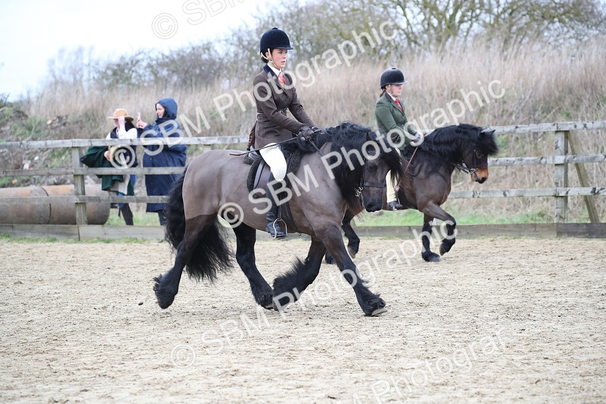SBM_006318 - Class 10-13 - RIHS Small Large Breeds