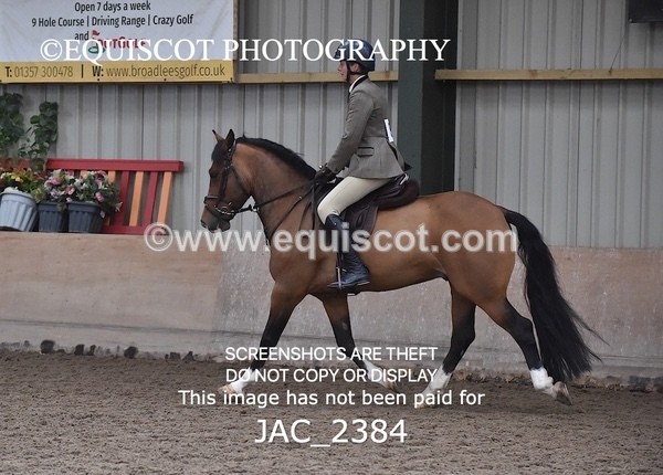 JAC_2384 - CLASS 3 Intermediate Working Hunter