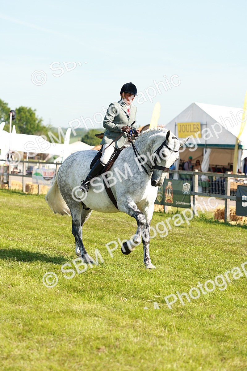 SBM_11864 - Class 66-69 - RIHS Ridden Hunters Inc Small Hunter