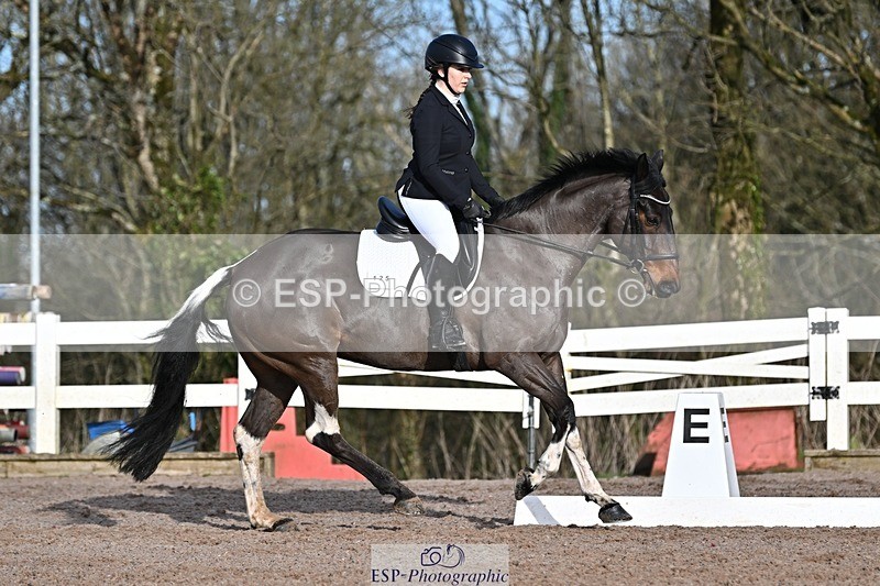 250125-104926-00245 - Dressage - CT Class 4 BE95 (80cm)