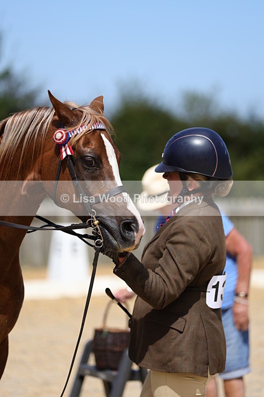 1X9A8367 - Class 13: Arab Ridden