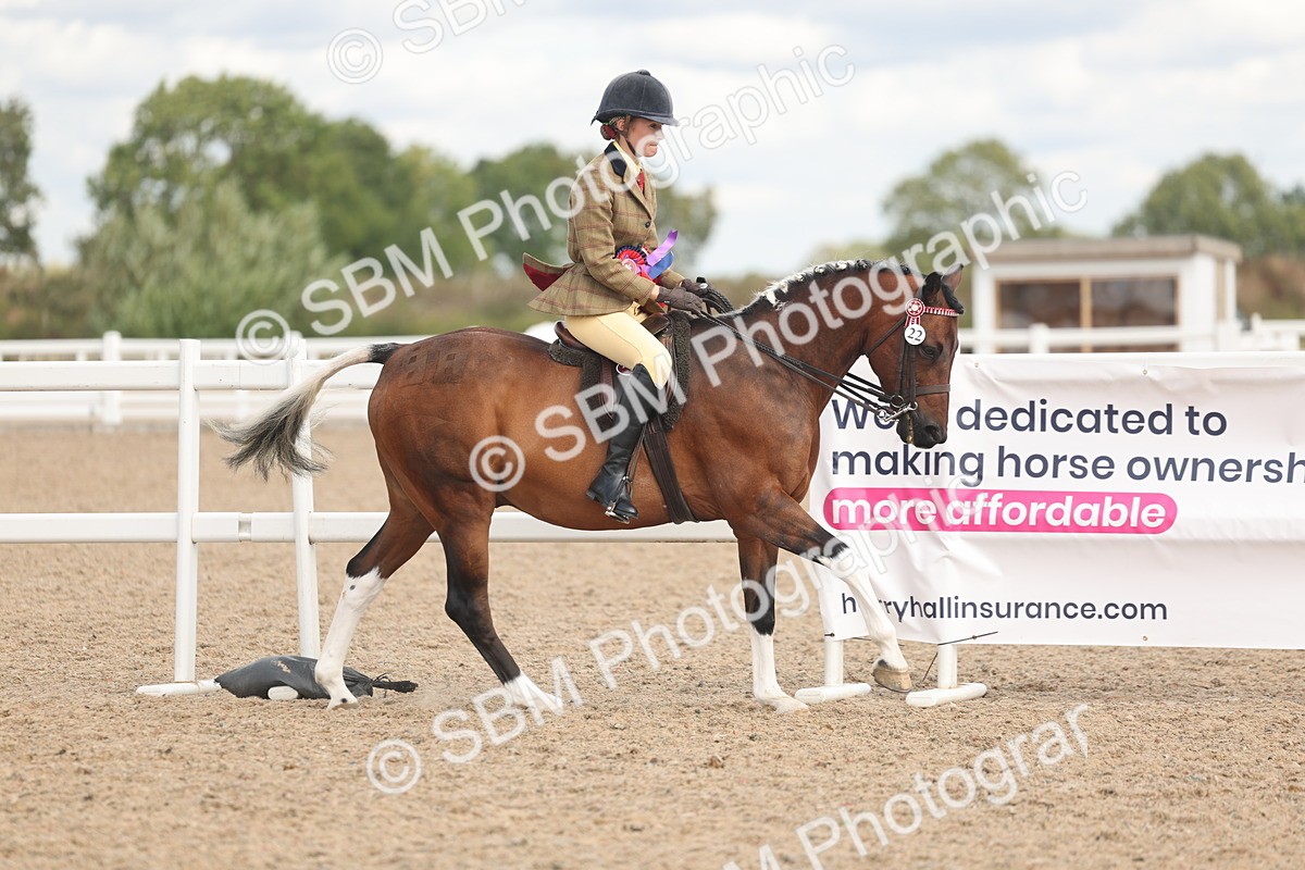 SBM_14705 - Class 307 - Ridden Coloured Pony