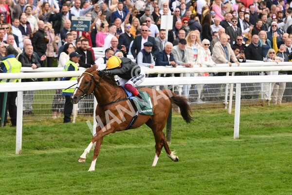 yr13052022r4-42 - Race 4 3.35pm The Paddy Power Yorkshire Cup (British Champions Series Race)