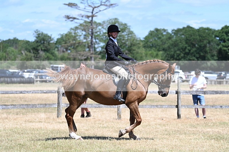 WJ7_2885 - Class 7 Riding Club Show Horse