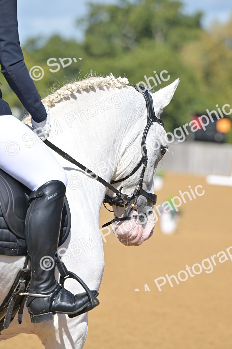 SBM_07973 - D8 - Small Tour Championship Prelim 1