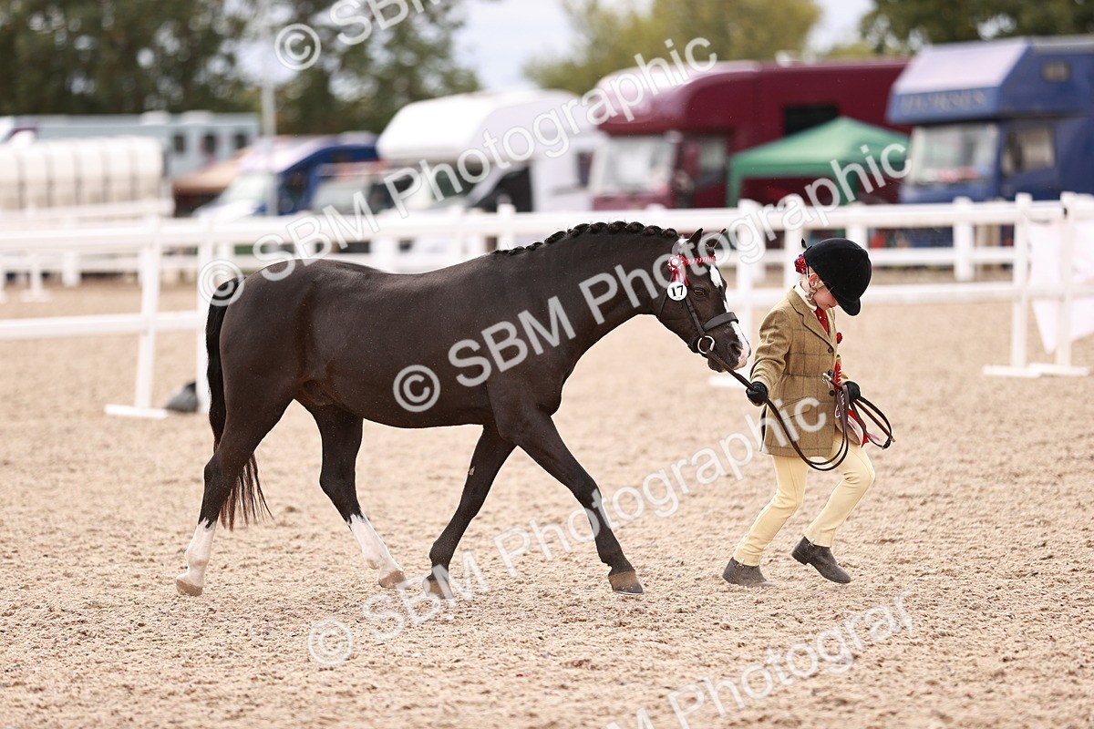 SBM_18414 - Class 418 - Best Condition - Jnr