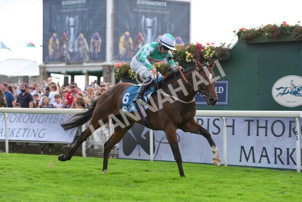 yr04092022r6-43 - Race 6 4.40pm Hanson Springs Stakes